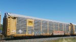 CSX B12677 (Body) TTGX 995061 (Flat)